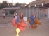 giochi